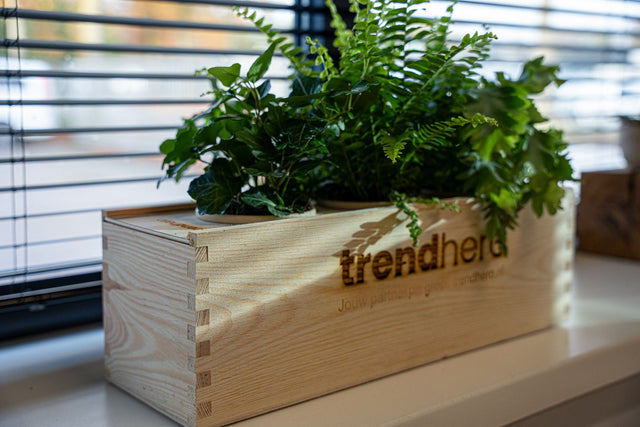 Planten in wijnkist - stijlvol & duurzaam alternatief voor bloemen