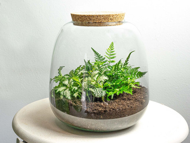 Terrarium Emma Mini - ↑ 20 cm - Ø 19 cm - Relatiegeschenk
