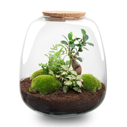 Terrarium DIY Kit - Emma - DIY kit - ↑ 25 cm - Ø 23 cm
