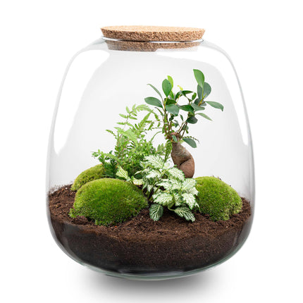 Terrarium DIY Kit - Emma - DIY kit - ↑ 25 cm - Ø 23 cm