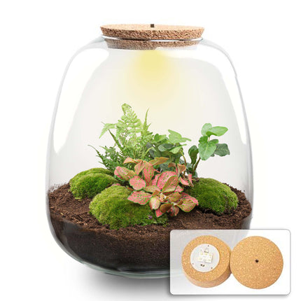 Terrarium DIY Kit - Emma - DIY kit - ↑ 25 cm - Ø 23 cm