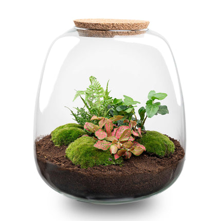 Terrarium DIY Kit - Emma - DIY kit - ↑ 25 cm - Ø 23 cm