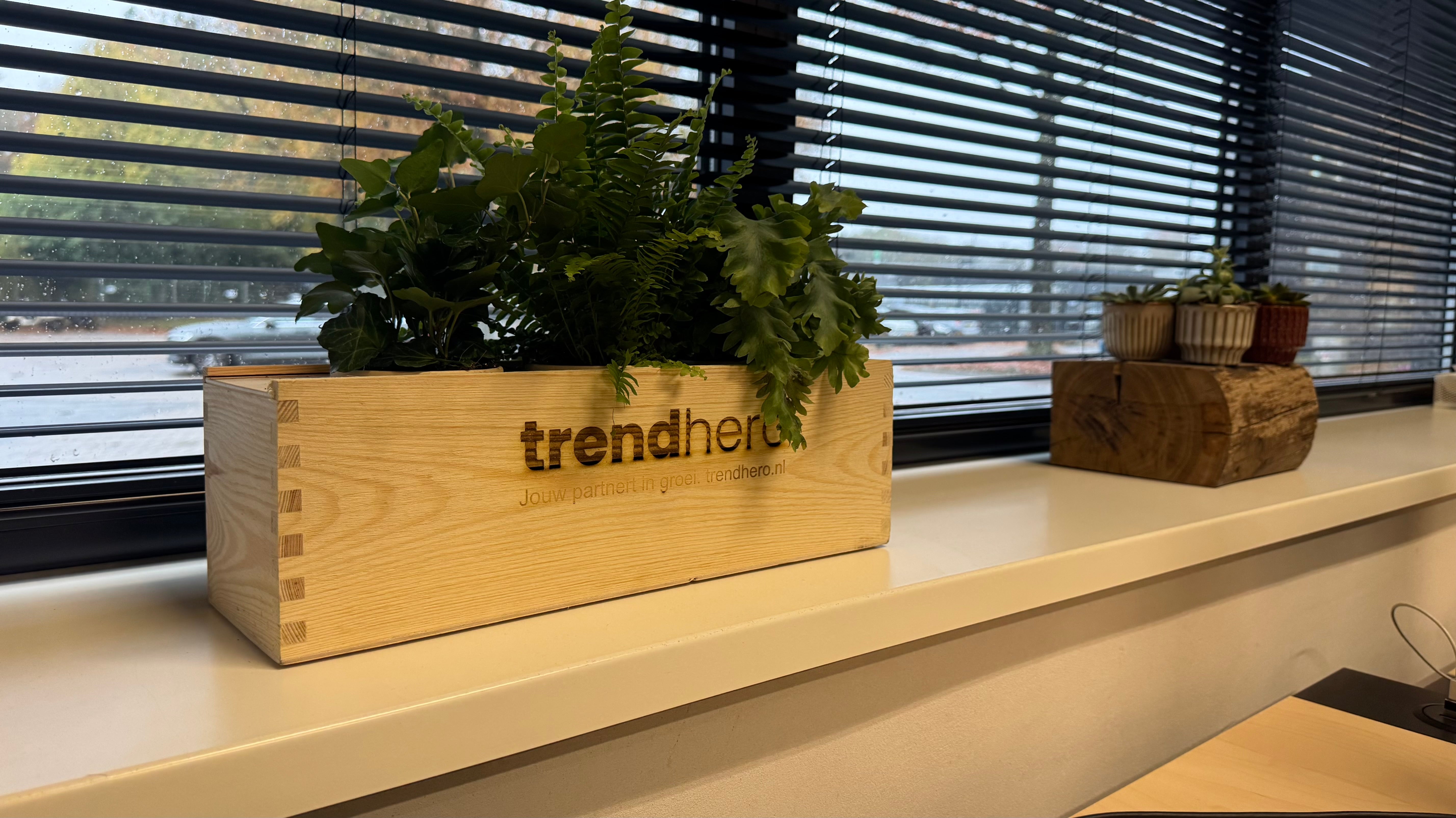 Planten in wijnkist – Groen relatiegeschenk & duurzaam plant cadeau