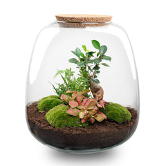 Collection image for: Terrarium flessen