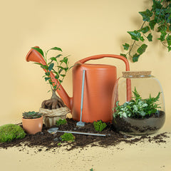 Collection image for: Vaderdag
