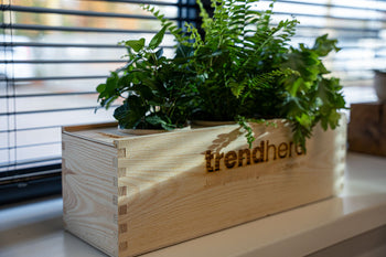 Planten in wijnkist - stijlvol & duurzaam alternatief voor bloemen