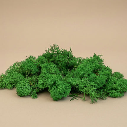 Decorative reindeer moss - Green - 1 Bag - 50g