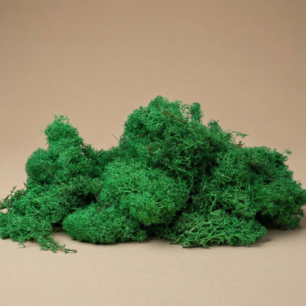 Decorative reindeer moss - Dark green - 1 Bag - 50g
