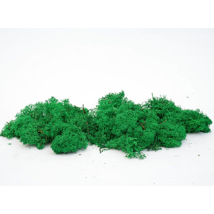 Decorative reindeer moss - Dark green - 1 Bag - 50g