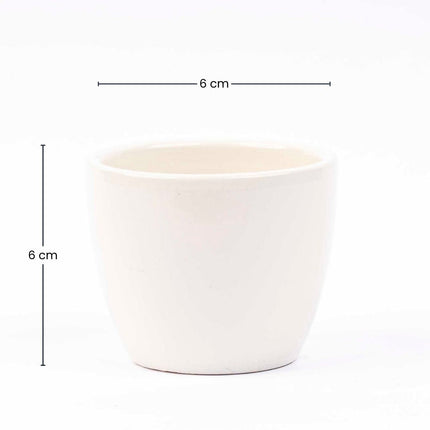Panna Gloss - Plant Pot - Boule Pot white - Ø 9 cm ↑ 9 cm