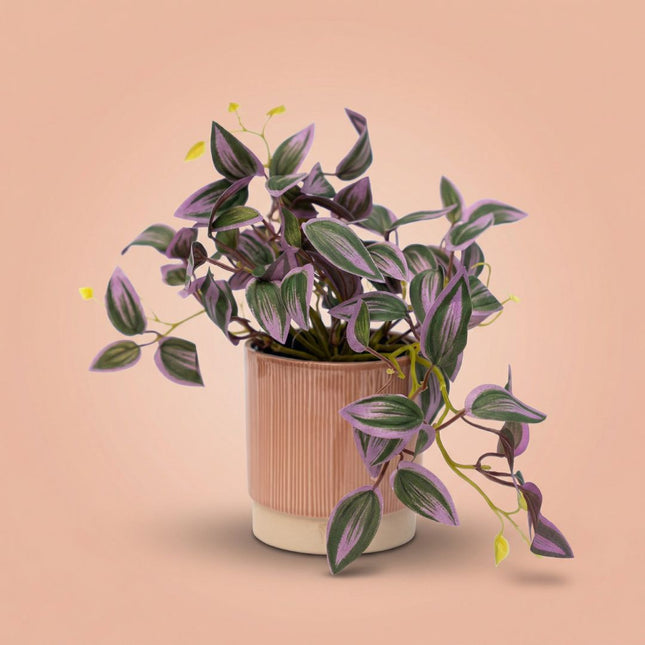 Tradescantia - Hanging plant in pot - Artificial plant - Green/purple - ↑ 19 cm