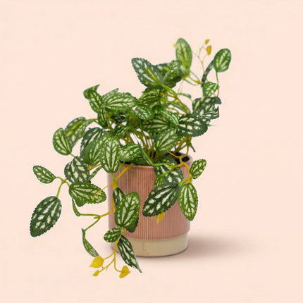 Pilea - Hanging plant in pot - Artificial plant - Green/white - ↑ 19 cm