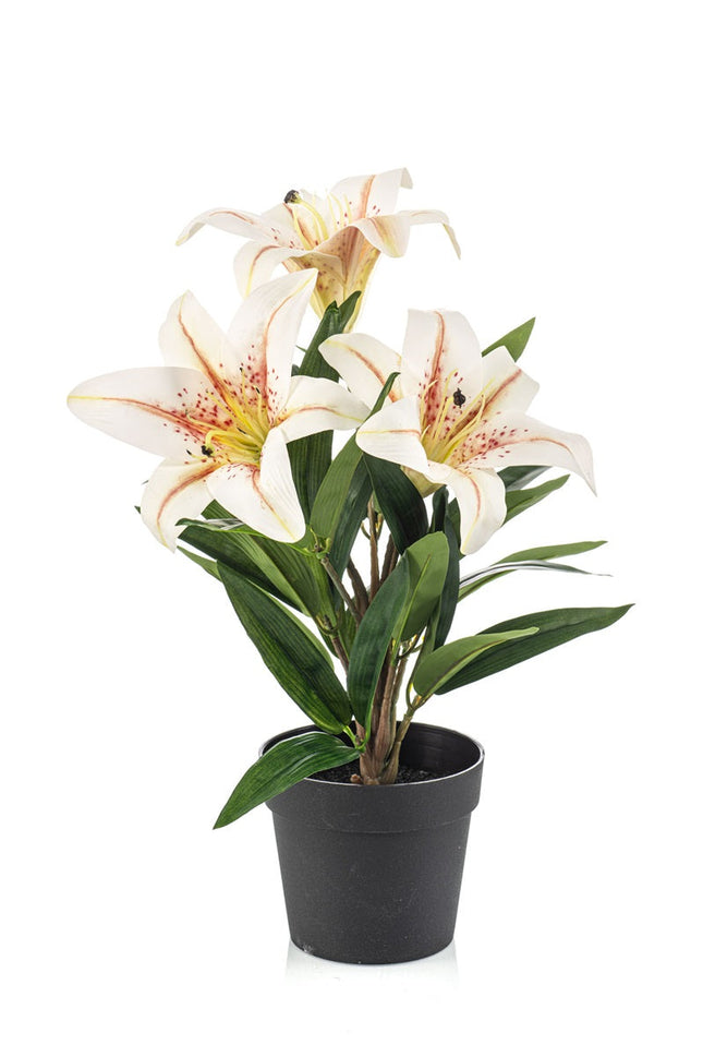 Lily in pot - Cream - Artificial plant - ↑ 33 cm