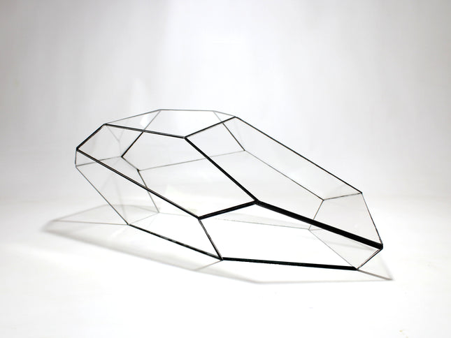 Geometric Terrarium - Plantasia - Vivarium ↑ 50 x 25 x 17,5 cm (LxWxH) - Glass