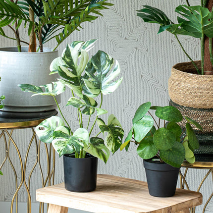 Urban jungle L - 5 pcs - Artificial Plants - Bundle set