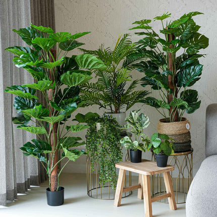 Urban jungle XL - 6 pcs - Artificial Plants - Bundle set