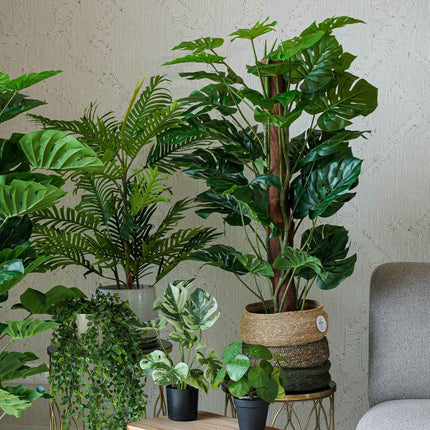 Urban jungle XL - 6 pcs - Artificial Plants - Bundle set