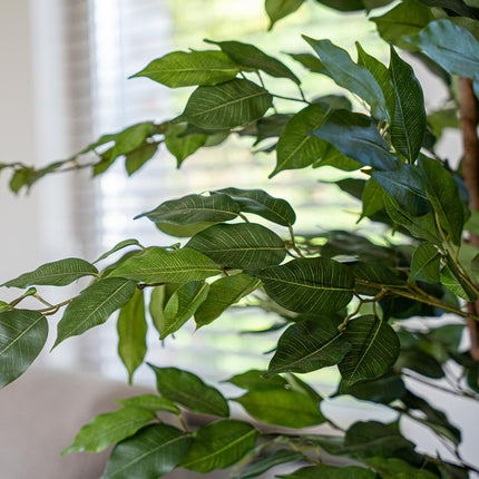 Ficus Deluxe set - 2 pcs - Artificial Plants - Bundle set