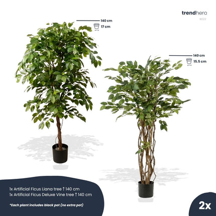 Ficus Deluxe set - 2 pcs - Artificial Plants - Bundle set