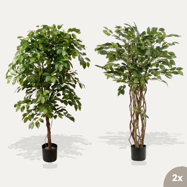 Ficus Deluxe set - 2 pcs - Artificial Plants - Bundle set