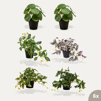 Mini plants XL - 6 pcs - Artificial Plants - Bundle set