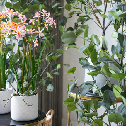 Ibiza set - 5 pcs - Artificial Plants - Bundle set