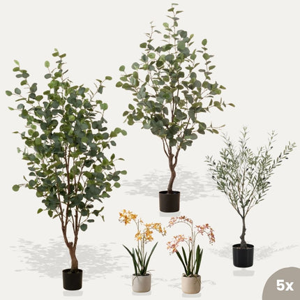 Ibiza set - 5 pcs - Artificial Plants - Bundle set