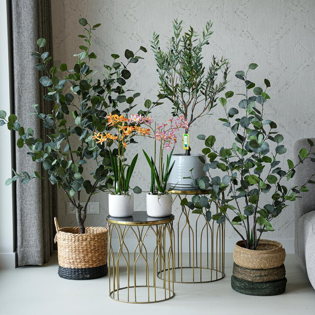 Ibiza set - 5 pcs - Artificial Plants - Bundle set