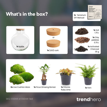 Bolder Bob Bonsai - Terrarium Bottle garden DIY kit - Ø 31 cm ↑ 30 cm