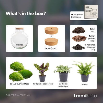 Bolder Bob - Terrarium with light - Bottle garden DIY kit - Ø 31 cm ↑ 30 cm