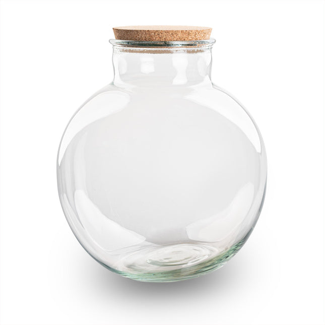 Terrarium bottle 'Teddy' - Incl. (LED) cork - Closed terrarium Ø 25 cm ↑ 26.5 cm