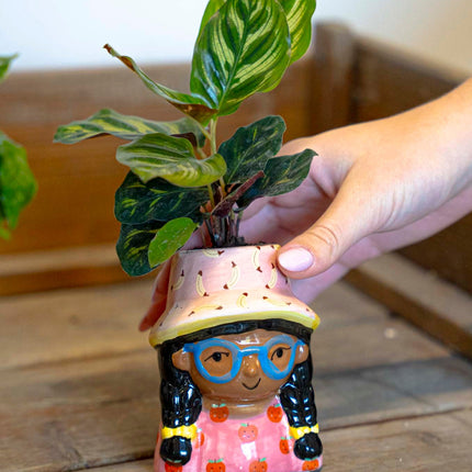 Mini Flower Pot Multi Color – Mini Jill - ↑ 10.2 cm - Face Head