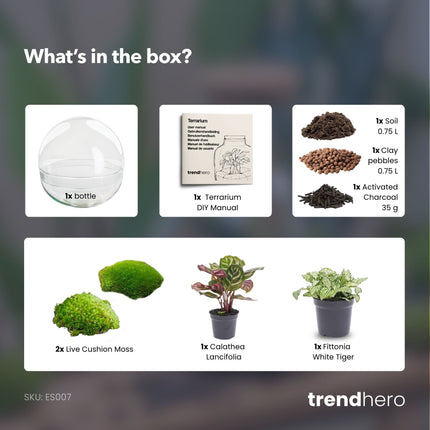 Dome - Two-part round glass terrarium - Bottle garden DIY kit - Ø 20 cm ↑ 20 cm