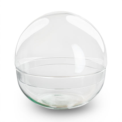 Terrarium bottle ‘Dome’ – Two-part round glass – Closed terrarium Ø 20 cm ↑ 20 cm