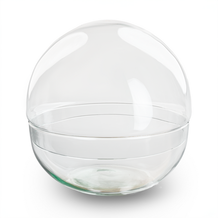 Dome XL - Globe glass - Bell jar - Closed terrarium ↑30 cm