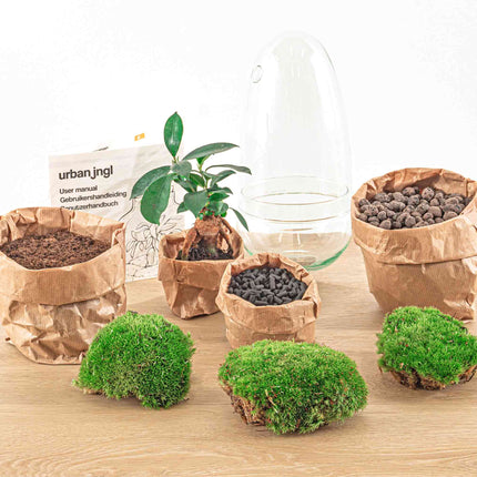 Terrarium DIY Kit - Bottle Garden - ↑ 25 cm