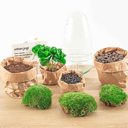 Terrarium DIY Kit - Bottle Garden - ↑ 25 cm