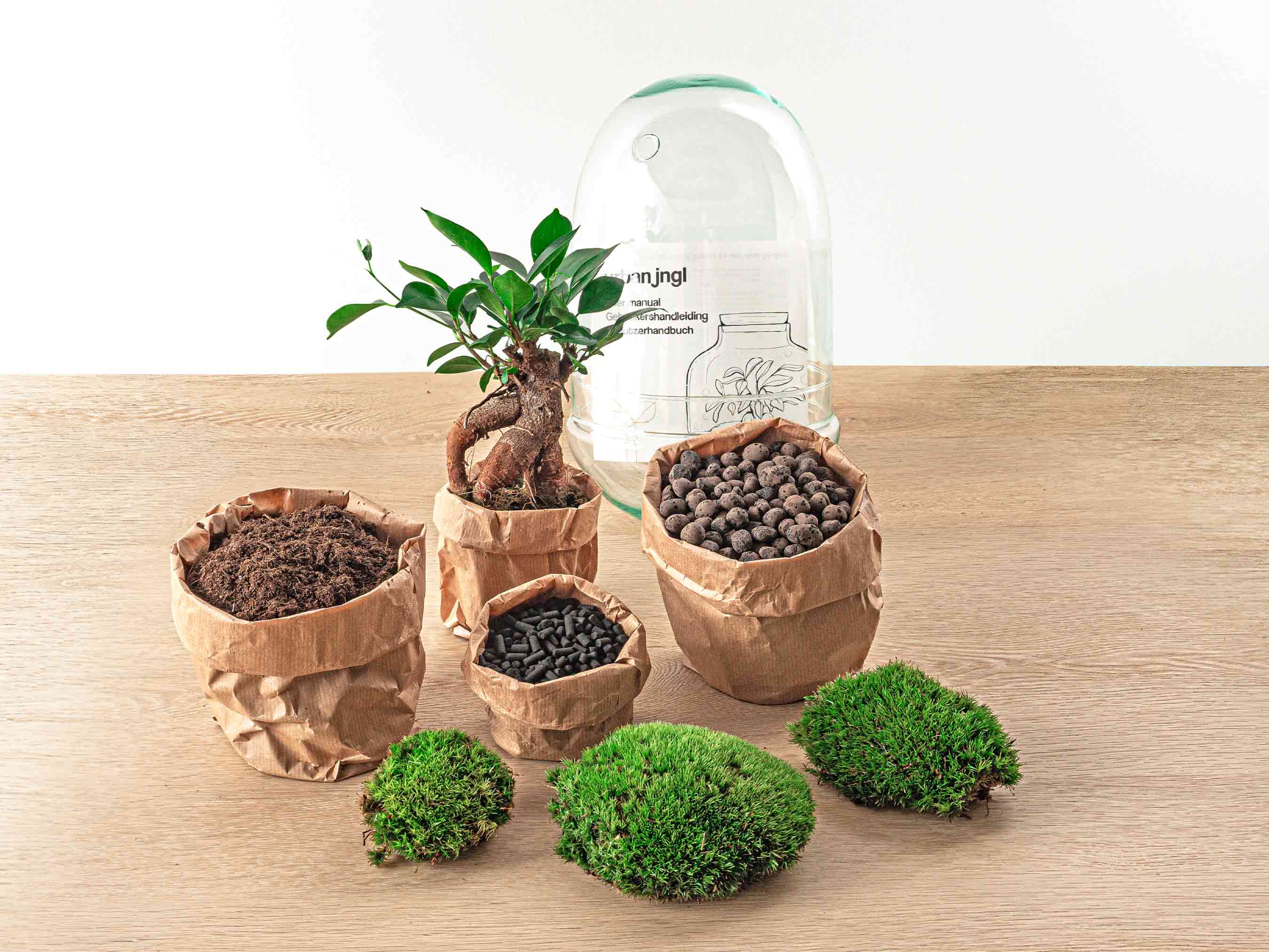 diy terrarium kit with plants Terrarium DIY Kit - Egg XL Bonsai - Bottle Garden