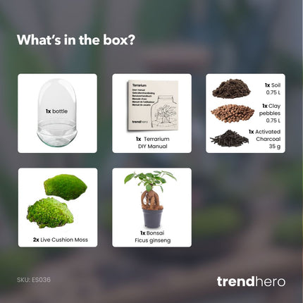 Egg XL Bonsai - Terrarium - Two-part glass dome - Bottle garden DIY kit - Ø 17.5 cm ↑ 30 cm