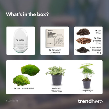 Egg XL - Terrarium - Two-part glass dome - Bottle garden DIY kit - Ø 17.5 cm ↑ 30 cm