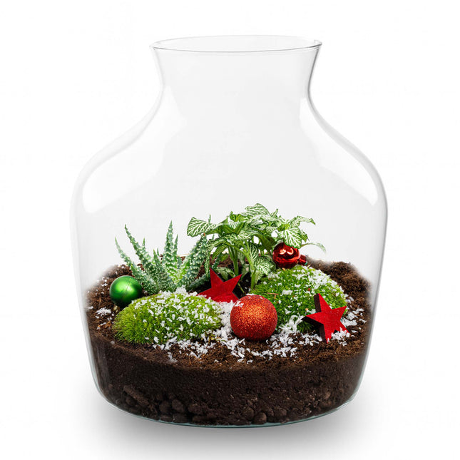 Evergreen Christmas terrarium - Bottle garden DIY kit - Ø 20 cm ↑ 22 cm