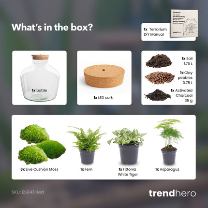 Fat Joe Green - Terrarium with light - Bottle garden DIY kit - Ø 29 cm ↑ 30 cm