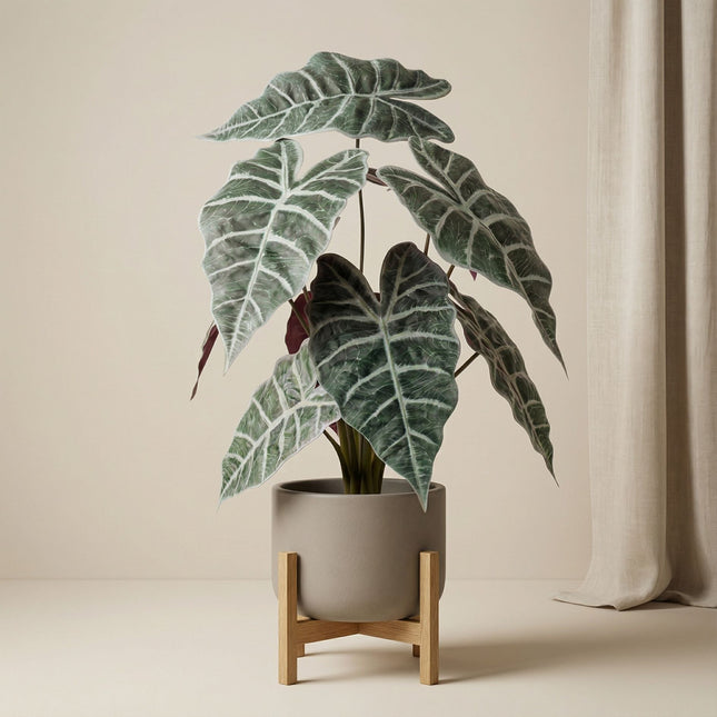 Alocasia bush in pot 40 cm - Artificial plant