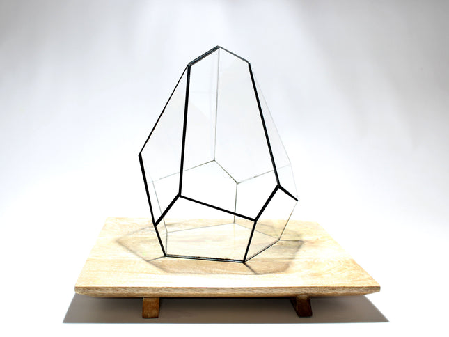 Geometric Terrarium - Jungle Gem - Vivarium - ↑ 16 x 15 x 19,5 cm (LxWxH) - Glass