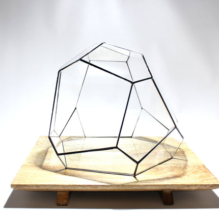 Geometric Terrarium - Torno - Vivarium - ↑ 28 x 26 x 24 cm (LxWxH) - Glass