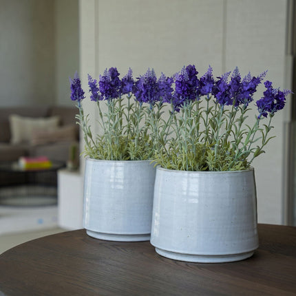 Lavender 6 pcs - Artificial Plants - Bundle set