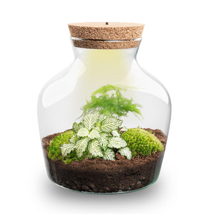 Terrarium Little Joe - Ø 20 cm ↑ 22 cm - Relatiegeschenk