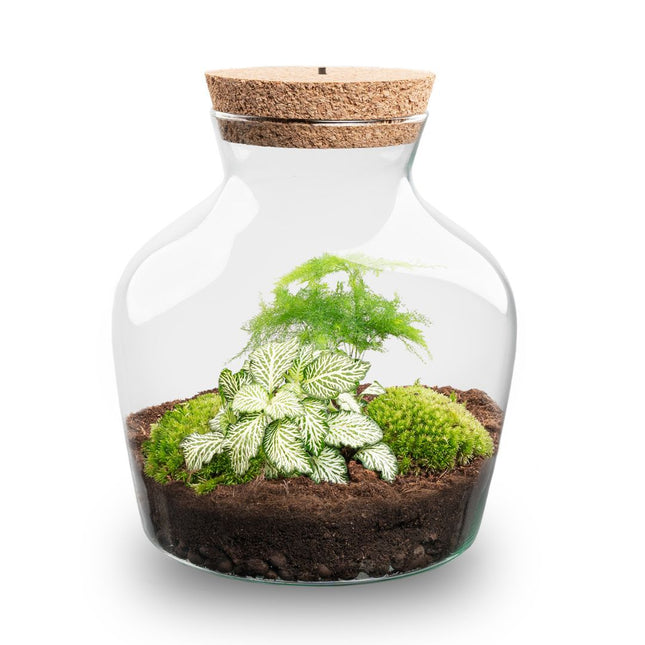 Terrarium Little Joe - Ø 20 cm ↑ 22 cm - Relatiegeschenk