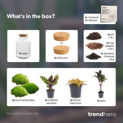 Milky Palm - Terrarium - Bottle garden DIY kit - Ø 21 cm ↑ 30 cm