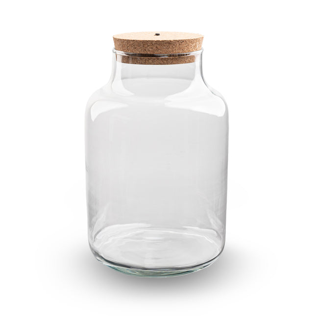 Terrarium with cork - Milky + led cork - Closed terrarium ↑30 cm